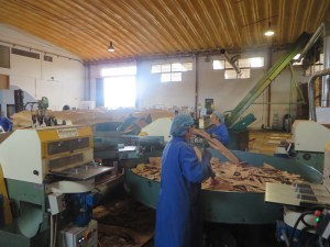 Two female workers in blue uniforms and hair nets feed cork into the sorting machine